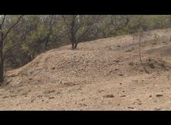 SW Pond the South and West berm.jpg